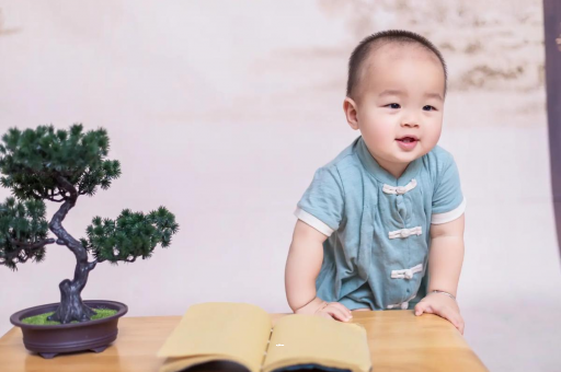 江苏可爱的企鹅宝宝